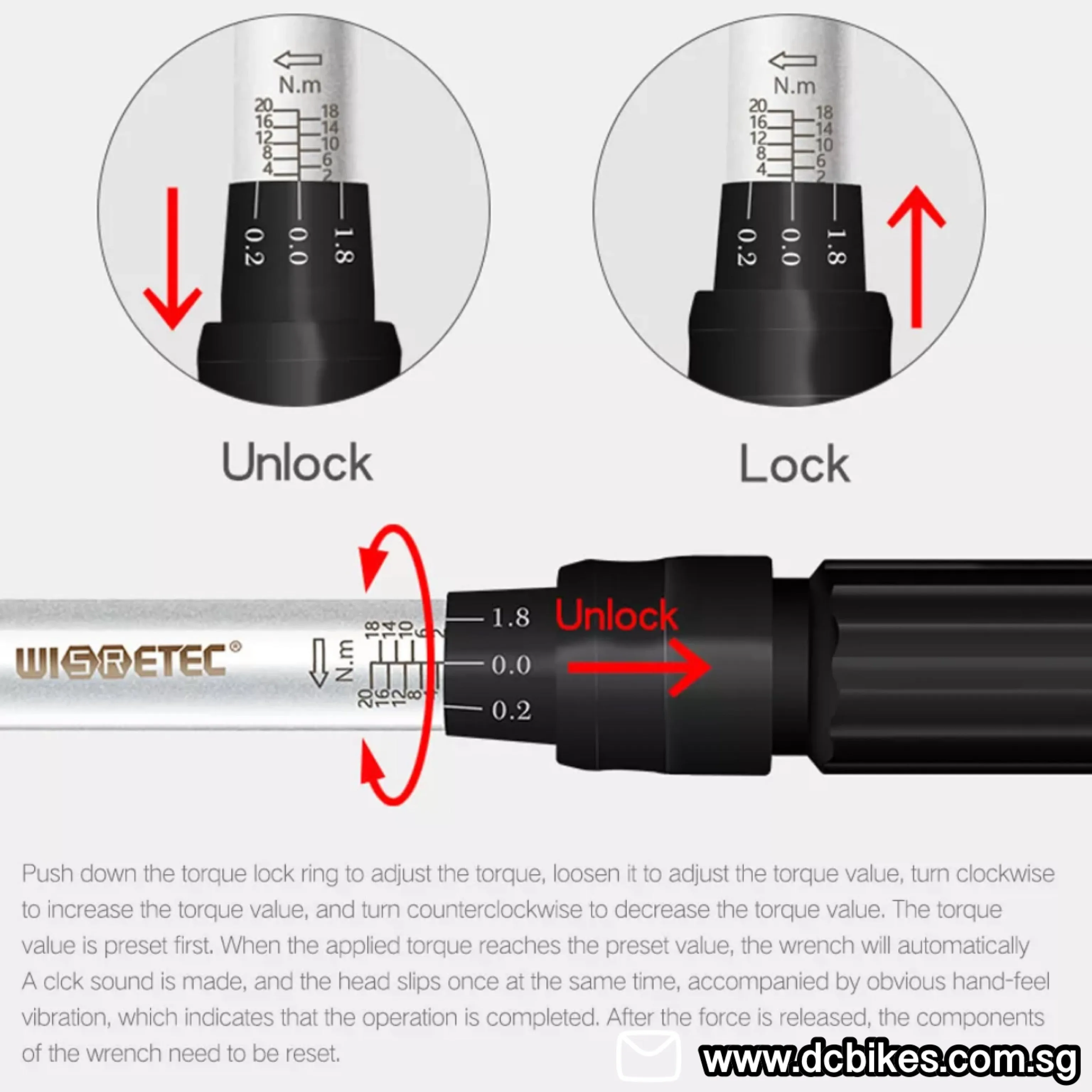 21 in 1 Professional 2nm-20nm Torque Wrench   Allen/Star Key Hex Tool Socket Bits Set Kit Box 1/4"