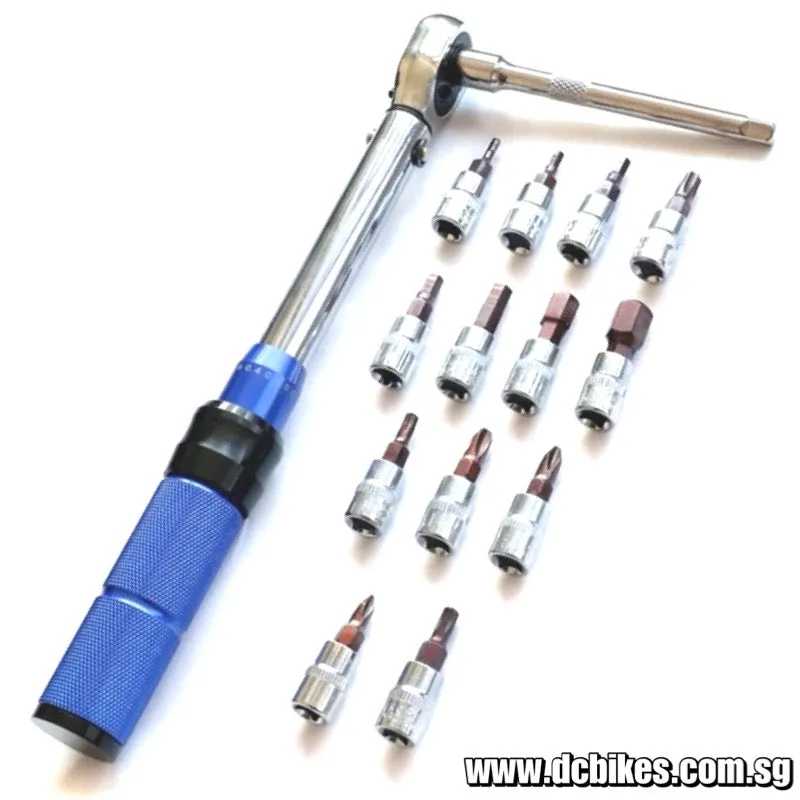 21 in 1 Professional 2nm-24nm Torque Wrench   Allen | Star Key Hex Tool Socket Bits Set Kit Box 1/4"