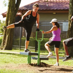 ActionFit Step Up Station