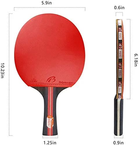 Allnice Ping Pong Paddle Set with Balls, 2 Rackets and 3 Ping Pong Balls Table Tennis Set with Carry Case for Beginners, Professionals, Trainers and Amateurs, Indoor or Outdoor Play