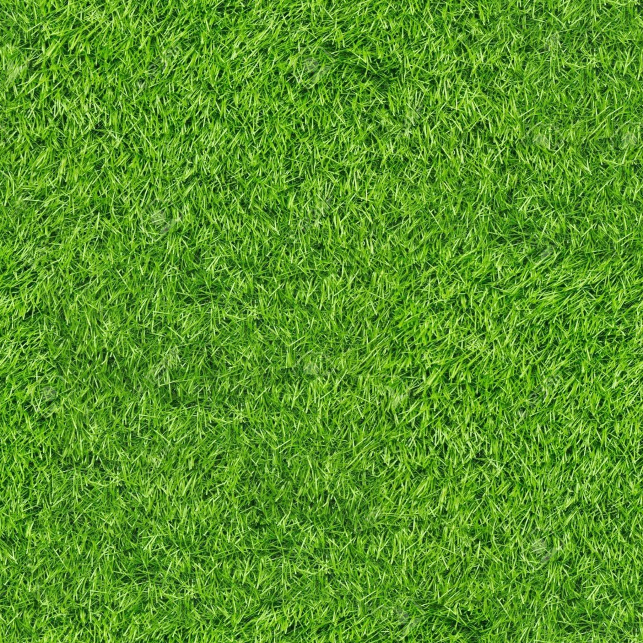 Artificial Grass Turf Rugs and Rolls-2'x8'