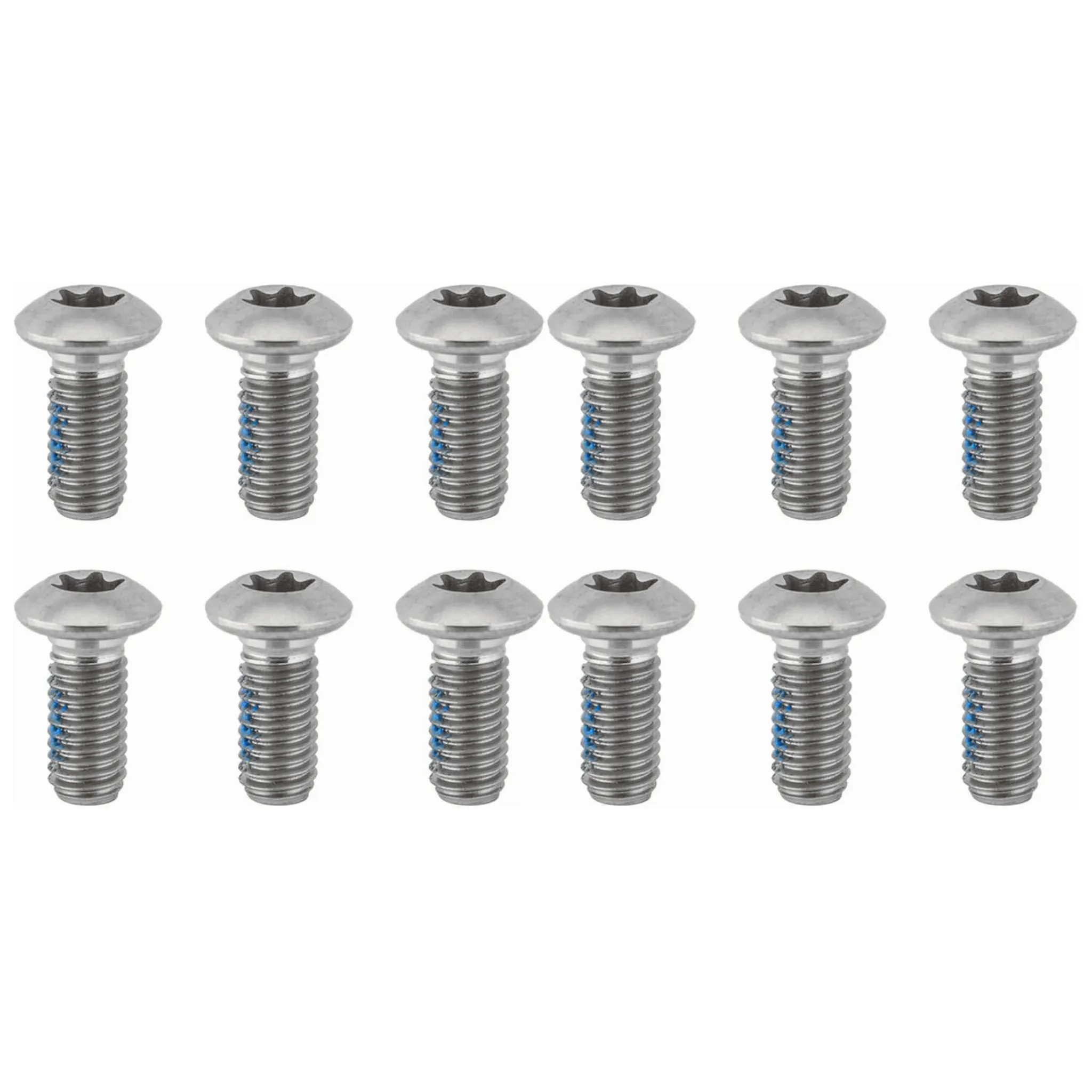 Ashima Level Rotor Torx Bolts - T25