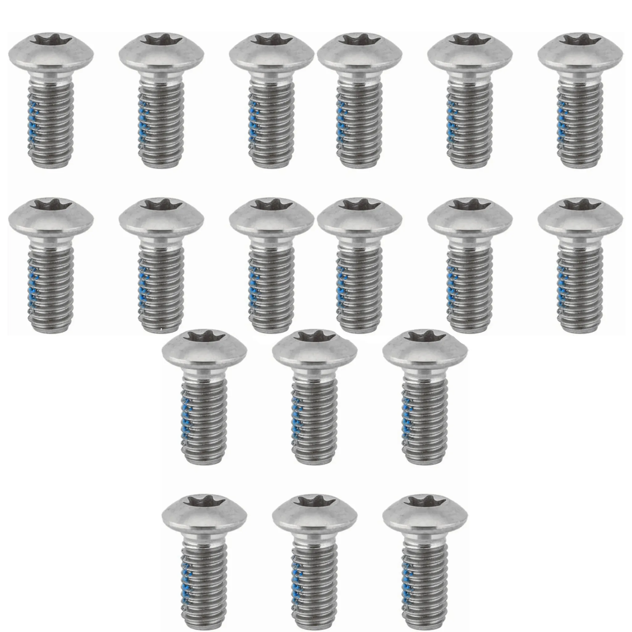 Ashima Level Rotor Torx Bolts - T25