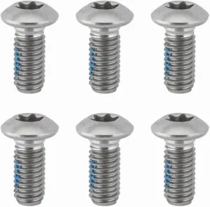 Ashima Level Rotor Torx Bolts - T25