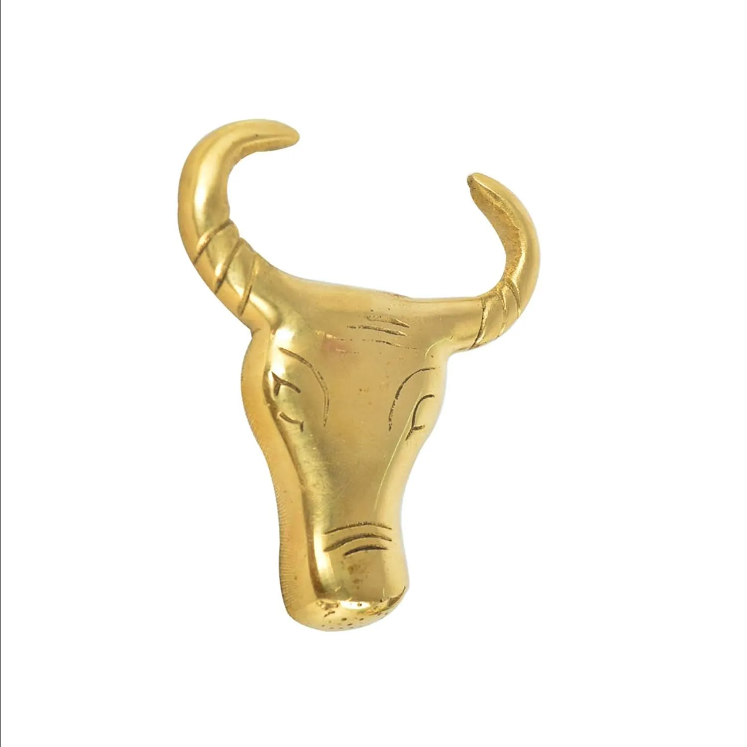 Brass Bull Face Design Front Mudguard For Royal Enfield All Models