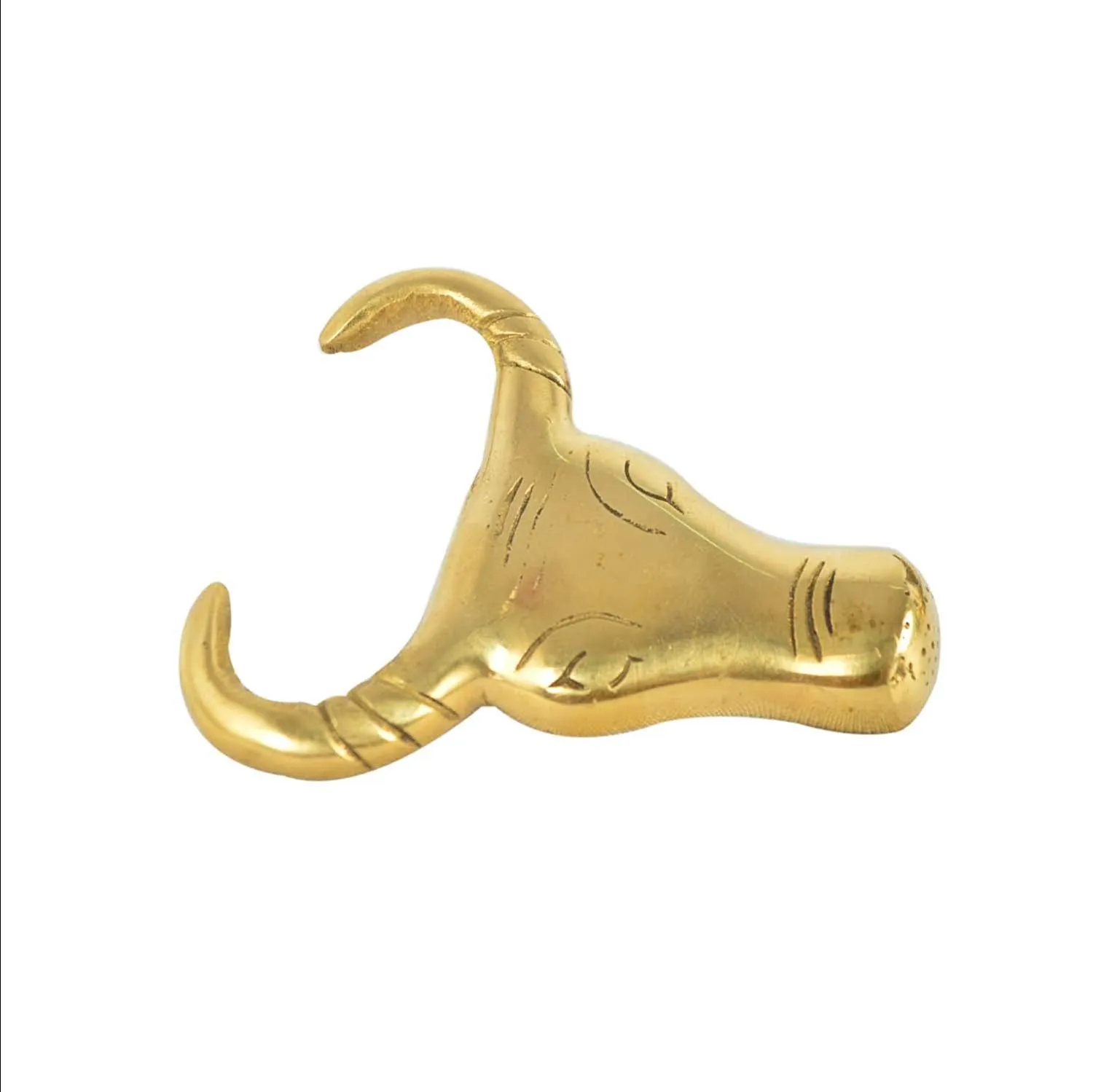 Brass Bull Face Design Front Mudguard For Royal Enfield All Models