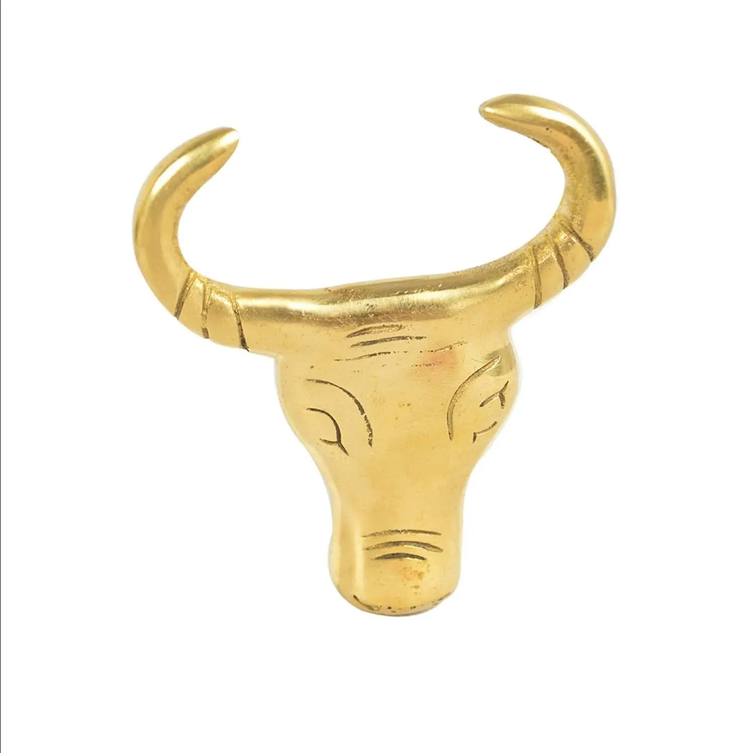 Brass Bull Face Design Front Mudguard For Royal Enfield All Models