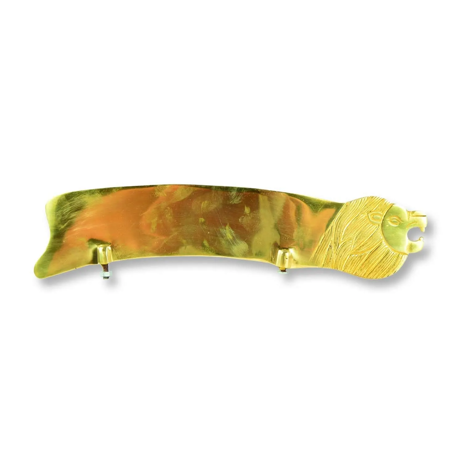 Brass Lion Design Front Mudguard For Royal Enfield All Models
