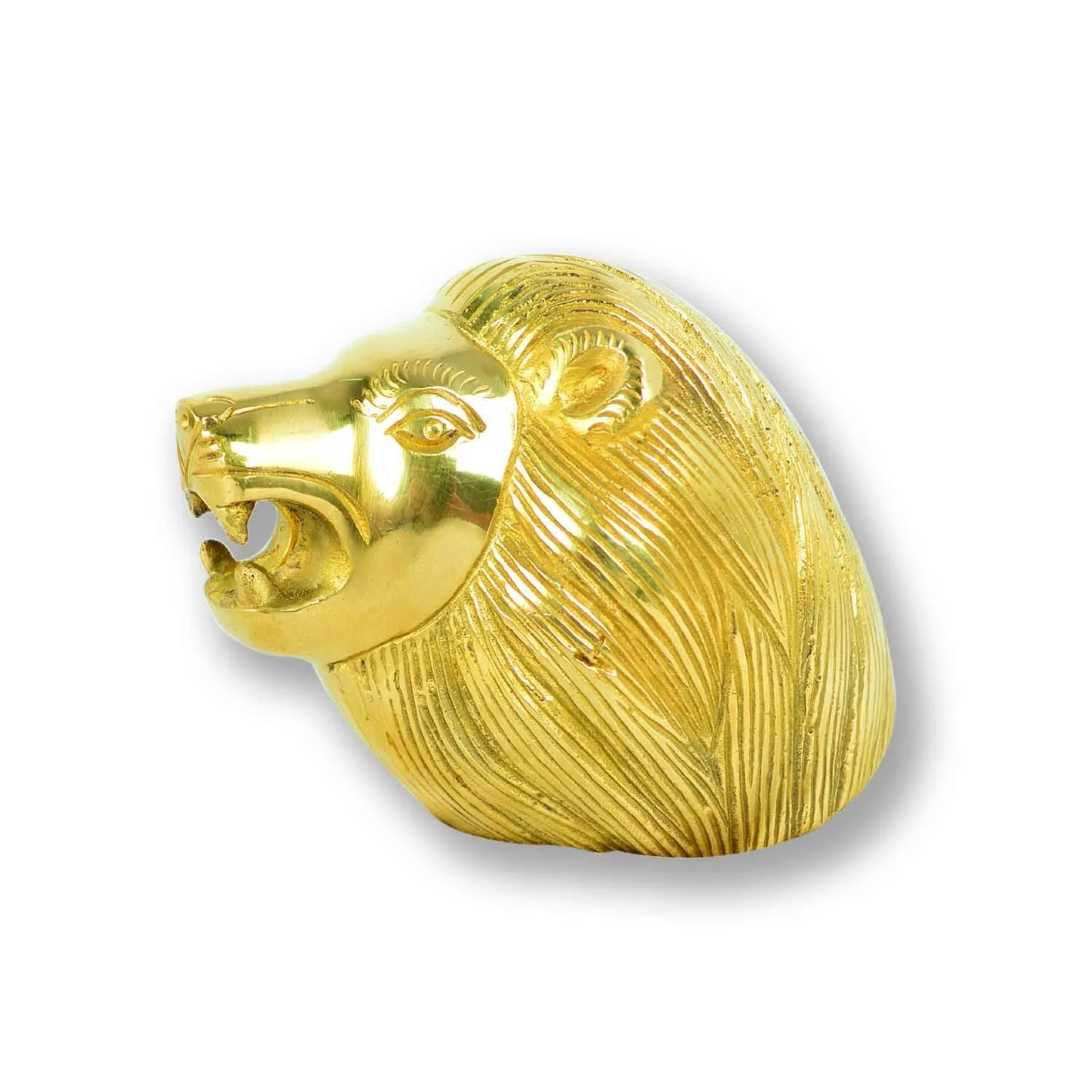 Brass Lion Head Design Front Mudguard For Royal Enfield All Models