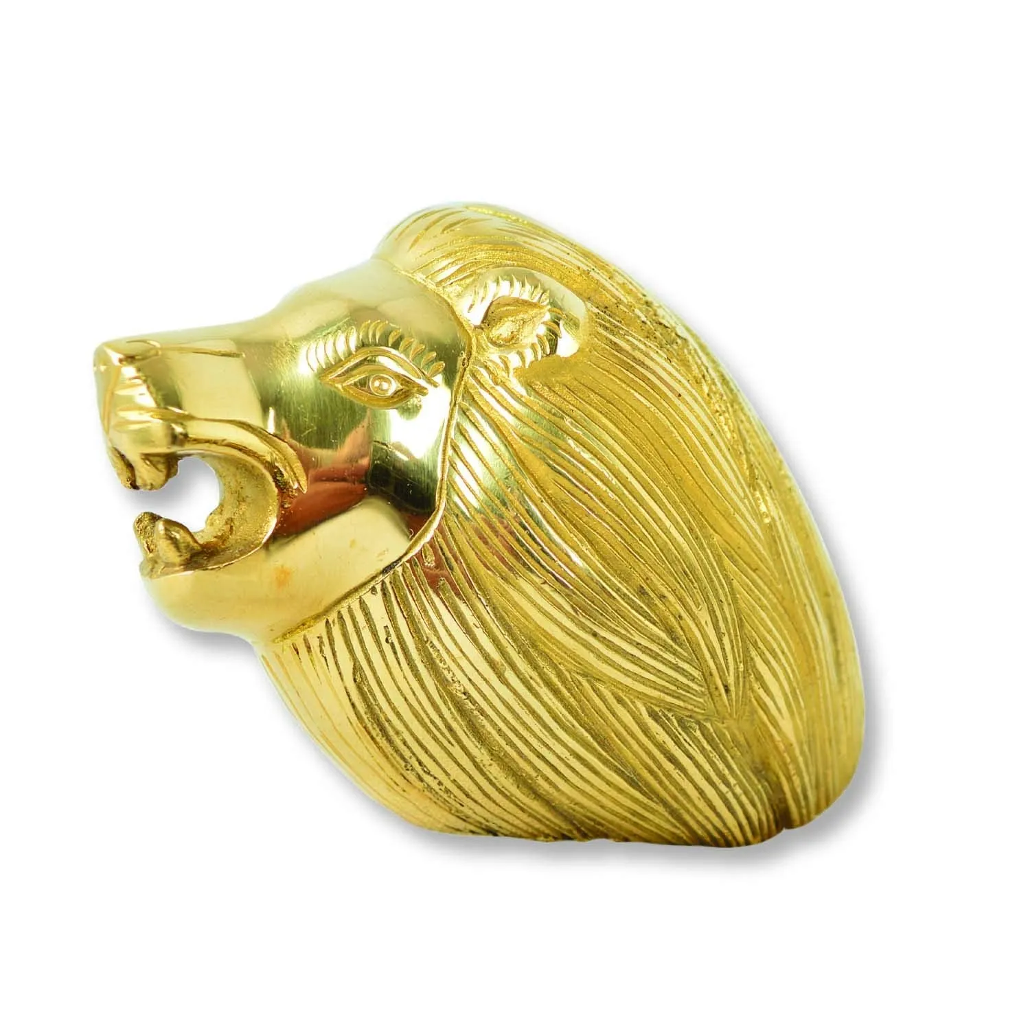 Brass Lion Head Design Front Mudguard For Royal Enfield All Models