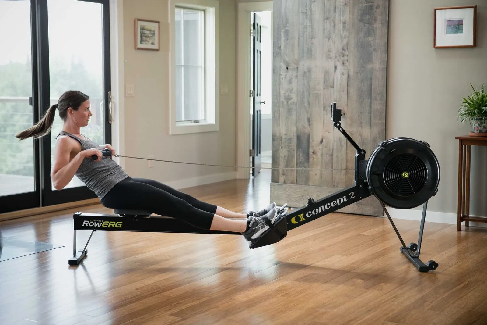 Concept2 RowErg Modell D (Standard)