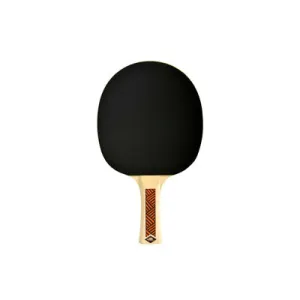 Donic-Schildkrot Champs Line 300 Table Tennis Paddle