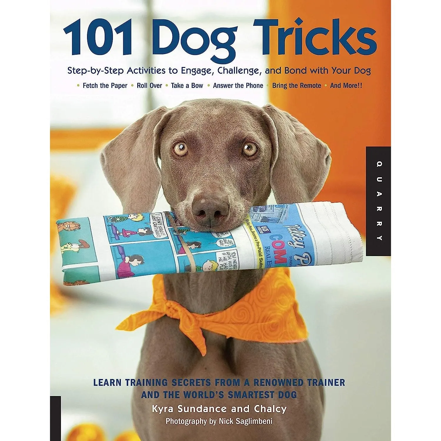 Game On Puppy!, Brain Teasers for dogs & 101 Dog Tricks 3 Books Collection Set