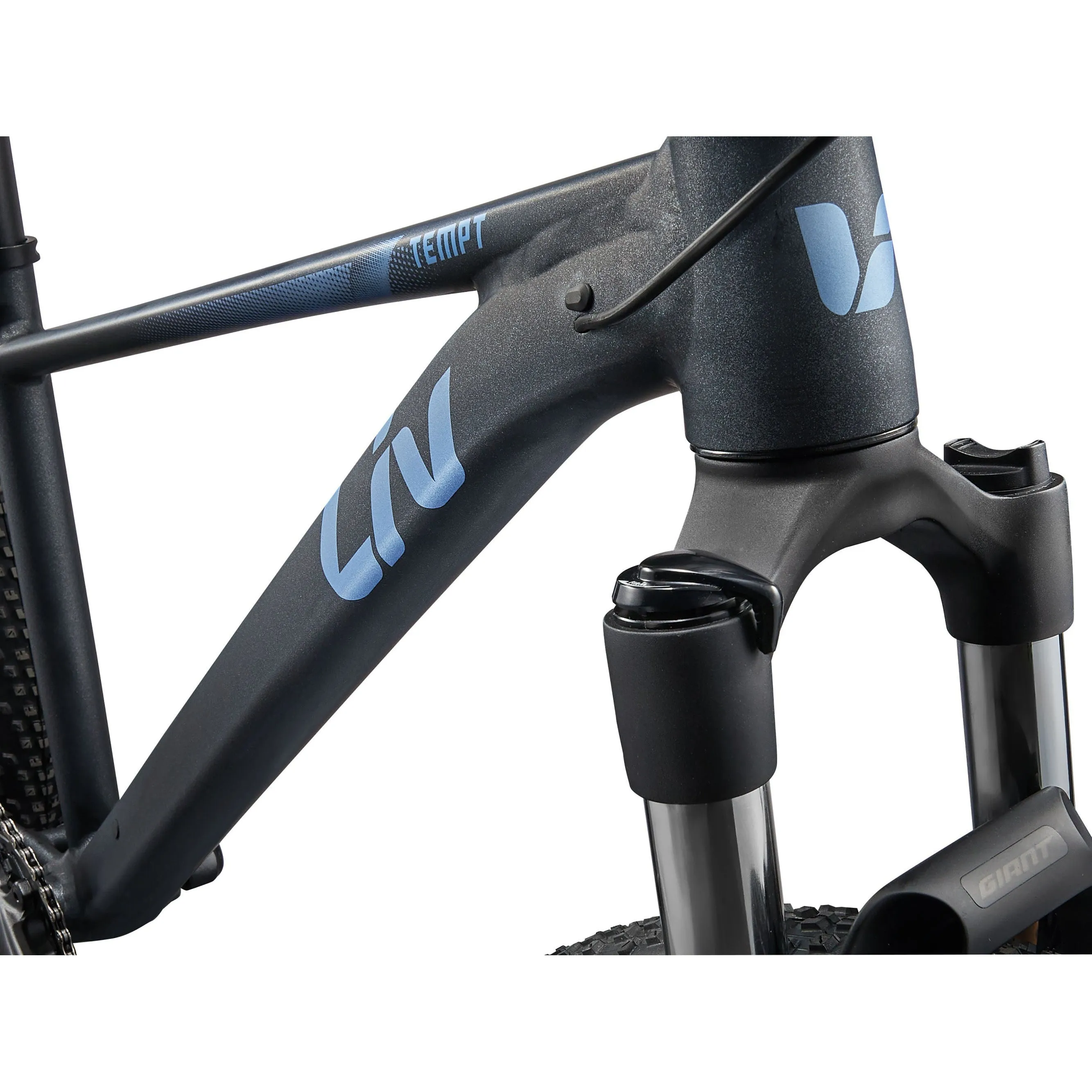 Liv 2025 Tempt 29 1 Mountain Bike