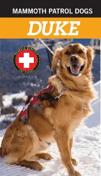 MAMMOTH PATROL DOG -- DUKE
