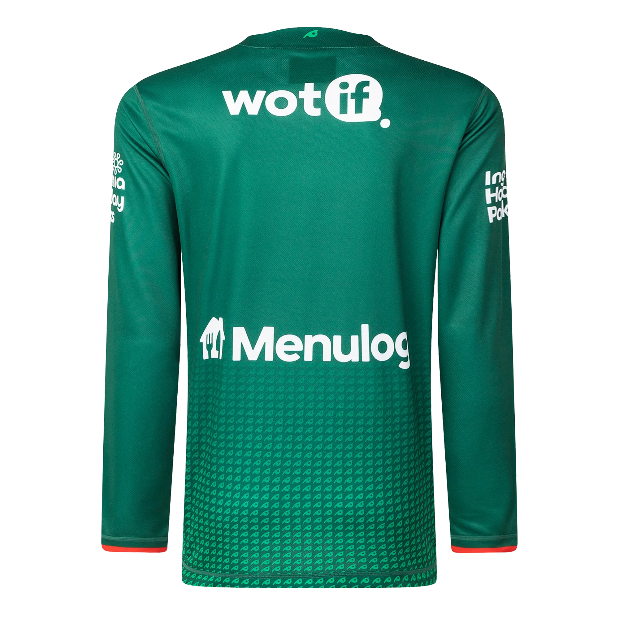 Mens 2025 South Sydney Rabbitohs Long Sleeve Training Tee (Green)