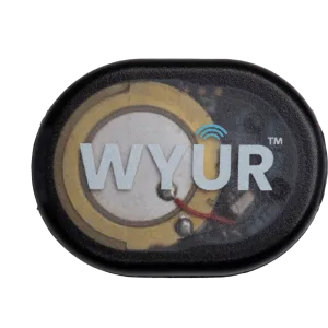 NPE WYÛR