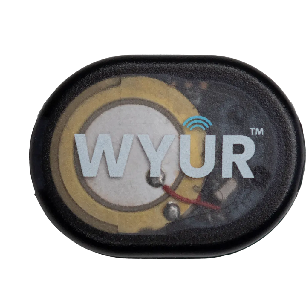 NPE WYÛR