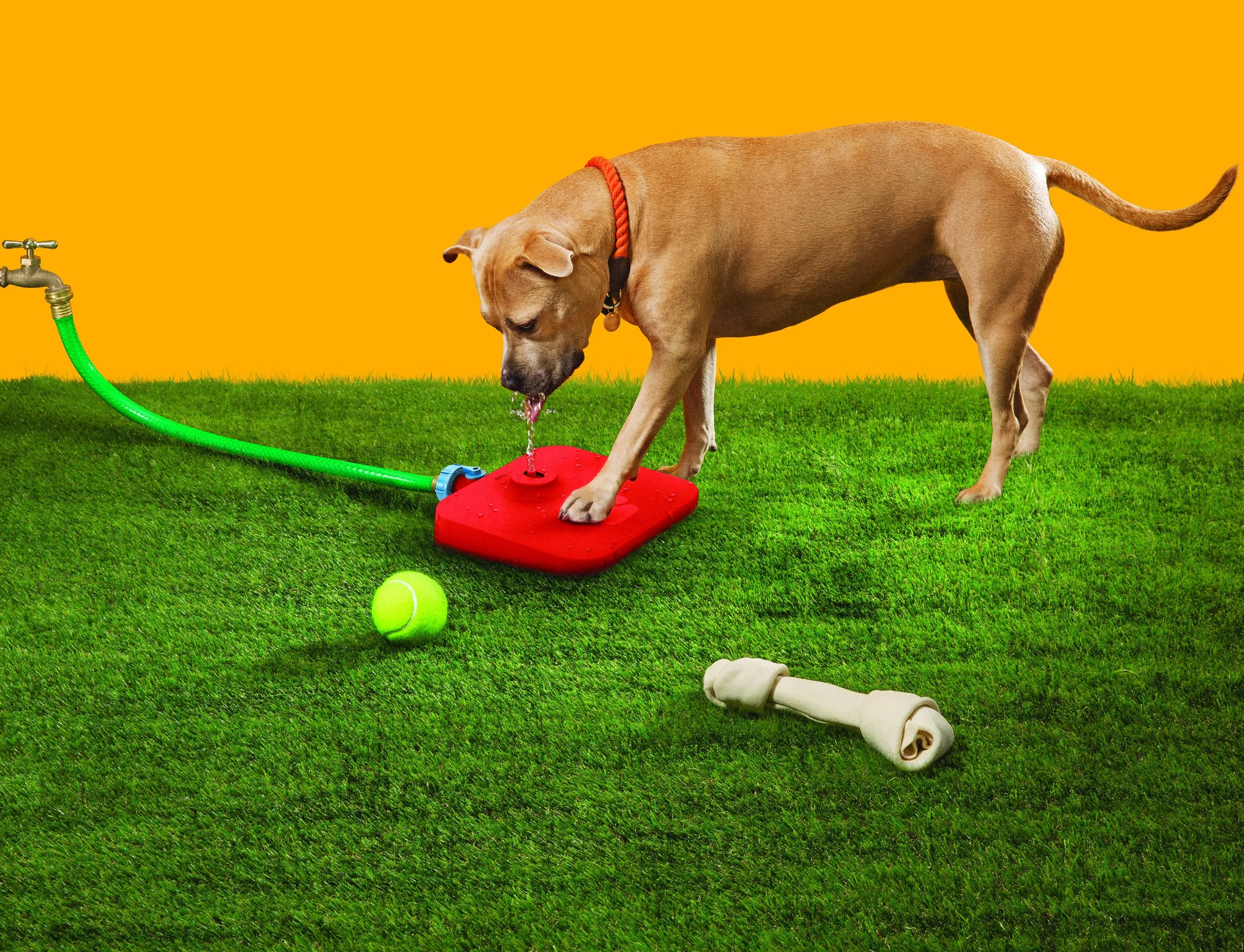 Pawcet Outdoor Dog Water Fountain With Hose Attachments