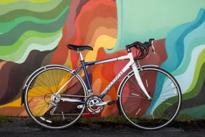 Raleigh Cadent 2.0 road bike, commuter build, blue & white, 47cm small