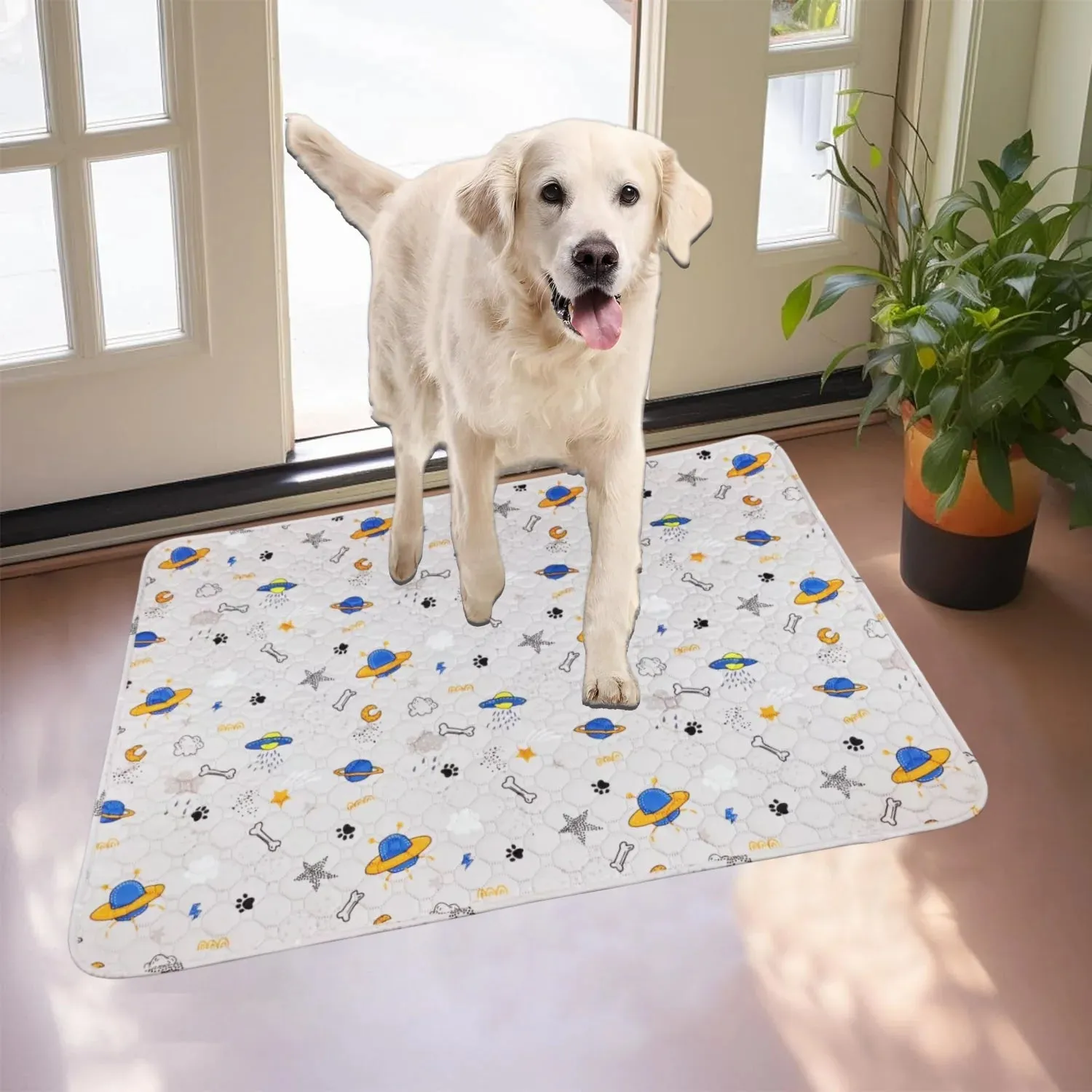 Reusable Pee Pad For Training Pets