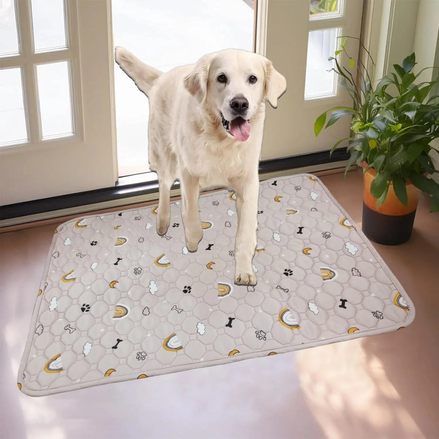 Reusable Pee Pad For Training Pets