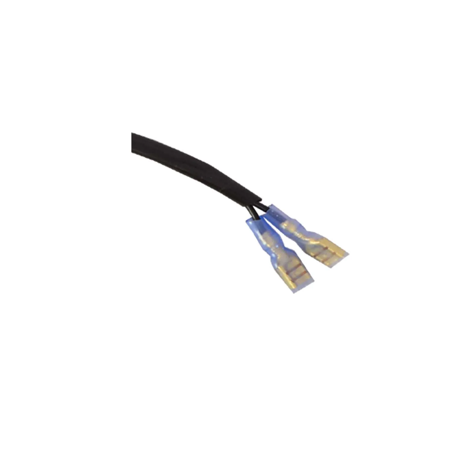 Universal Horn wire for all model bikes.