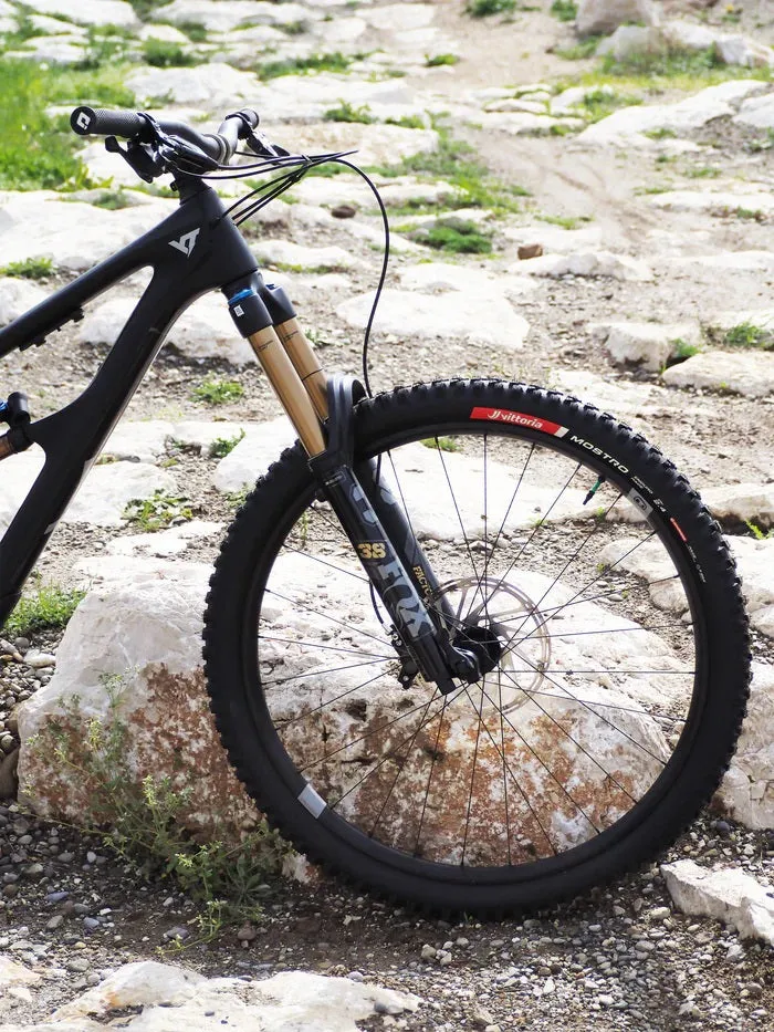 Vittoria Mostro Enduro Race 29" Tyre