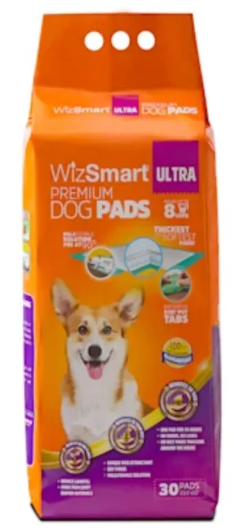 WizSmart All Day Dry XL 24pk
